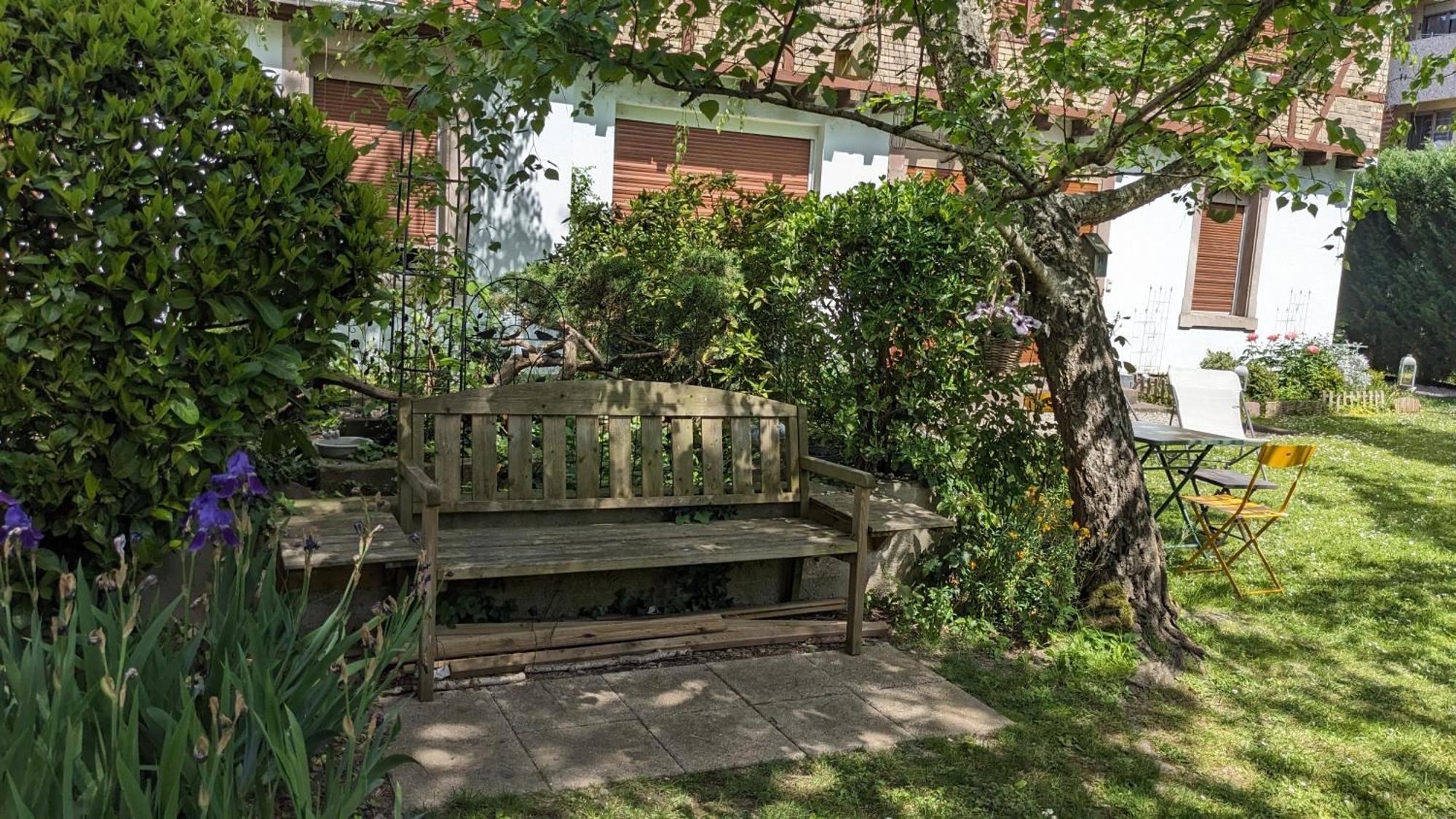Apartament Le Petit Parc Colmar Zewnętrze zdjęcie