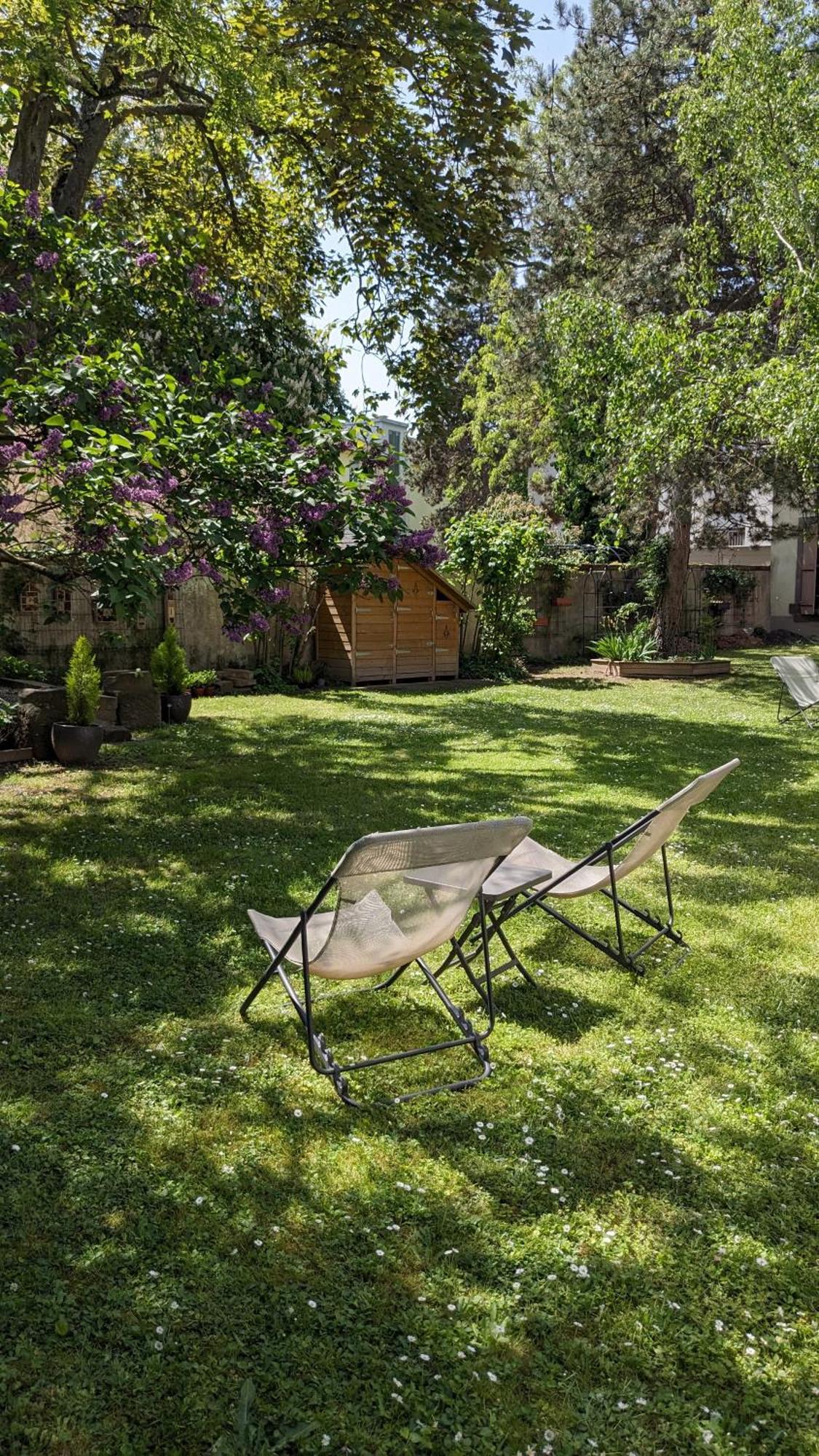 Apartament Le Petit Parc Colmar Pokój zdjęcie